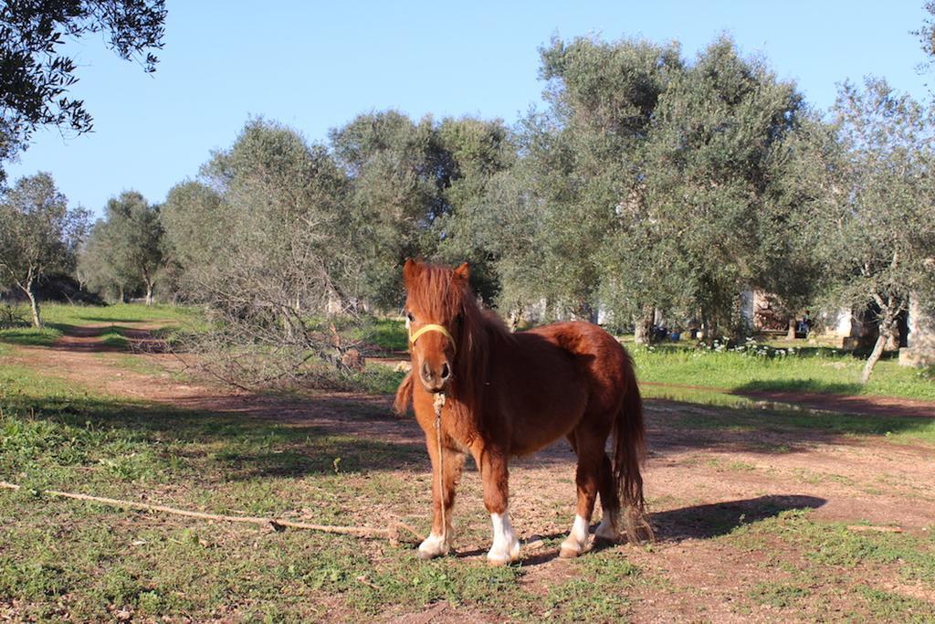 Agriturismo Tenuta Sant'Antonio Cerfignano Eksteriør bilde
